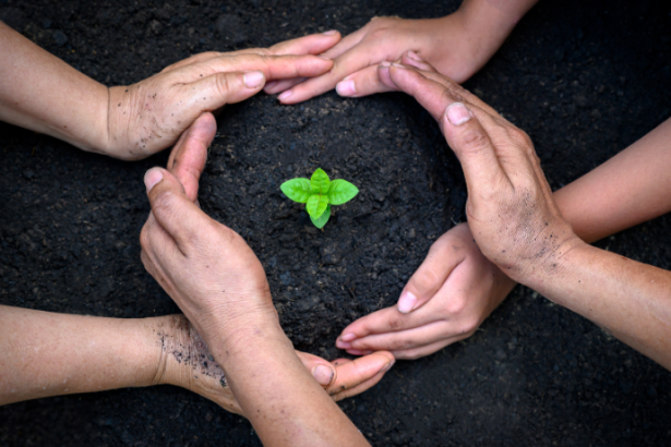 Bruno Garcia Redondo explica como o Ministério Público atua na defesa do meio ambiente e na garantia de um futuro sustentável.