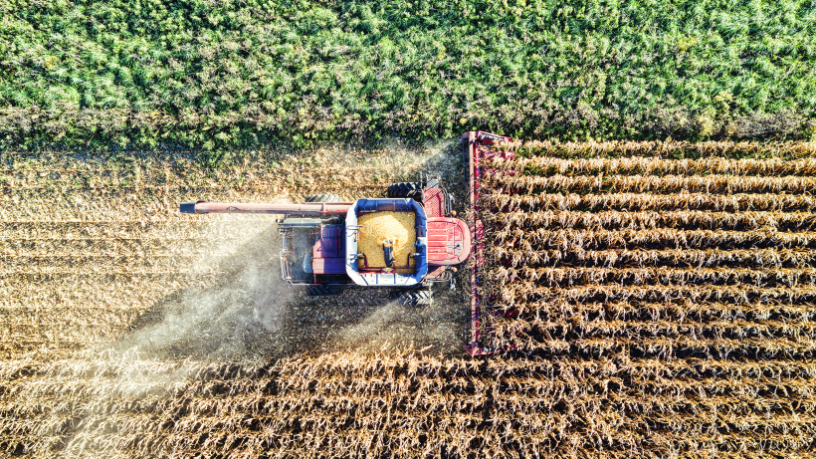 A importância do agronegócio na economia, segundo Kelsem Ricardo Rios Lima, está na sua força para impulsionar exportações e garantir crescimento sustentável.
