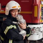 Nova Lei de Proteção a Animais em Desastres Amplia Responsabilidade Pública no Brasil