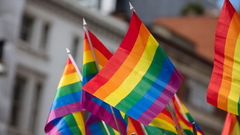 Presença LGBT na Política: como a representatividade pode transformar o futuro do Brasil