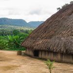 A Política de Proteção Territorial e o Desenvolvimento Sustentável nas Comunidades Indígenas